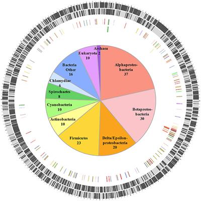 Horizontally Acquired Biosynthesis Genes Boost Coxiella burnetii's Physiology